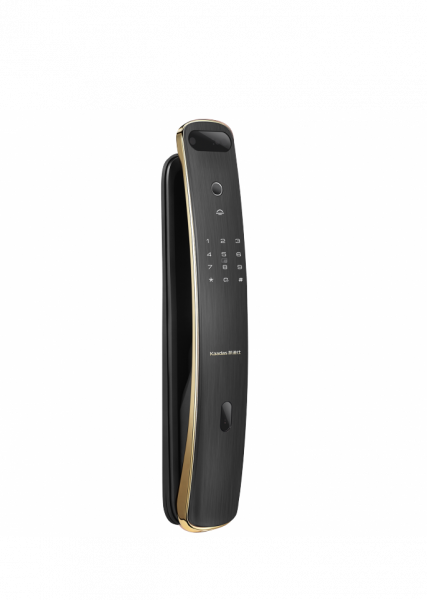 ЭЛЕКТРОННЫЙ ДВЕРНОЙ ЗАМОК С РАСПОЗНАВАНИЕМ ЛИЦА KAADAS K19F GOLD FACE  ID